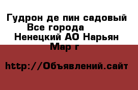 Гудрон де пин садовый - Все города  »    . Ненецкий АО,Нарьян-Мар г.